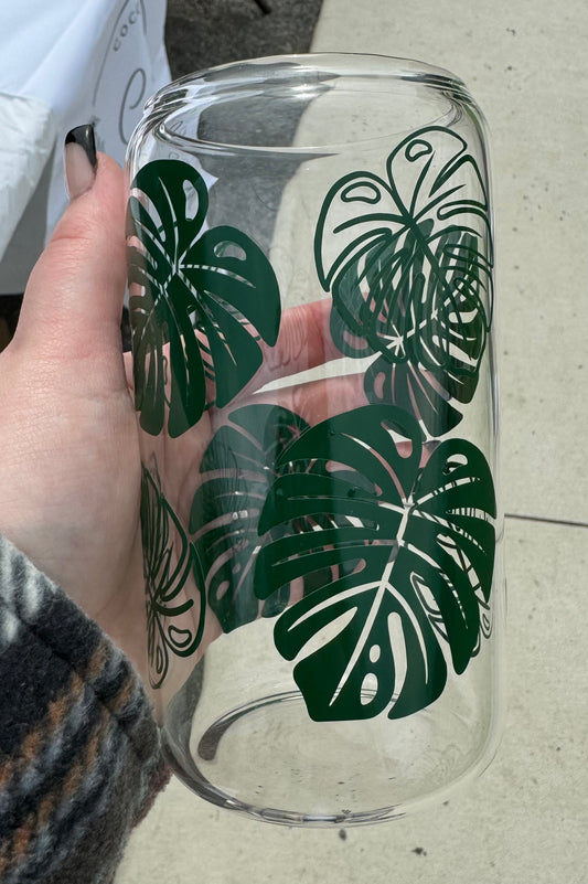 Monstera Plant